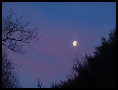 early morning moonscape