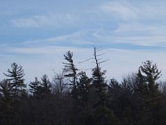 swirly clouds