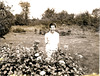Mom, knee-deep in zinnias, 1962