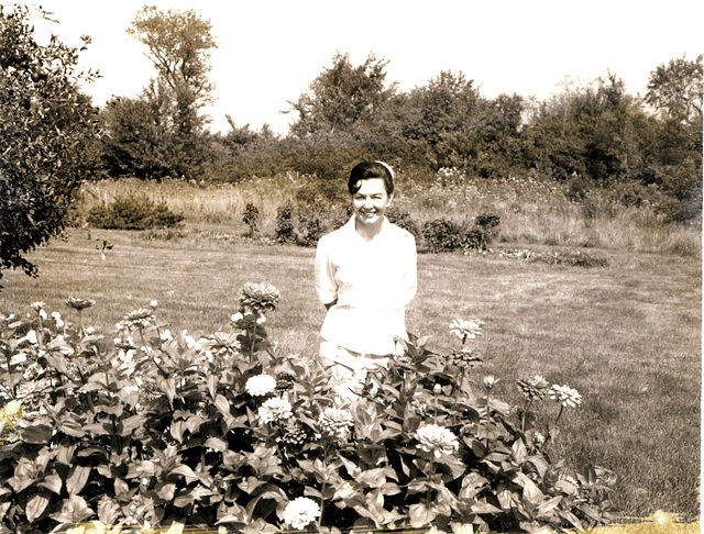 Mom, knee-deep in zinnias, 1962