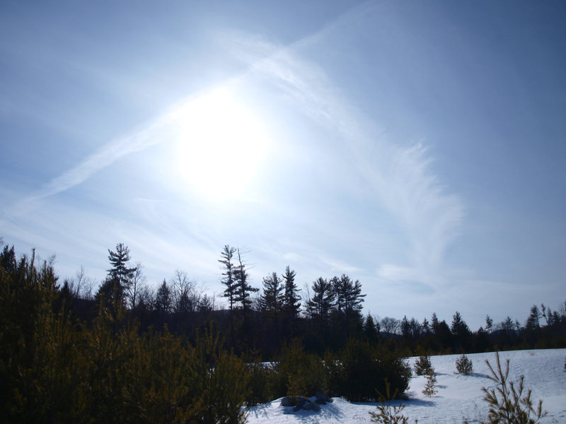 feather cloud