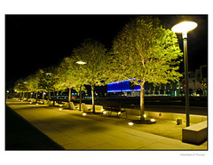 Curtis Hixon Park promenade