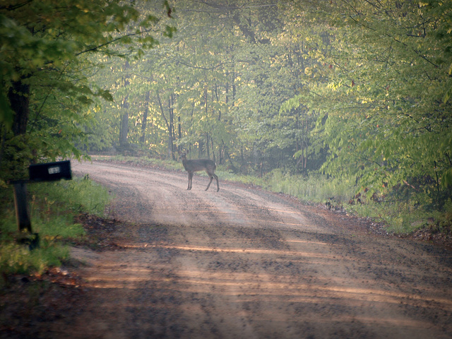 road block