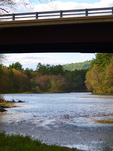 under the bridge