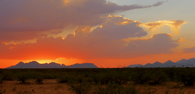 The Day Before Monsoon