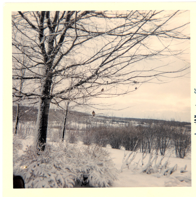 Winter, 1966