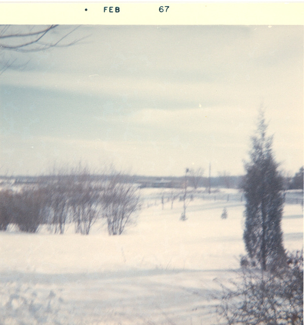 Countryside lake, 1967