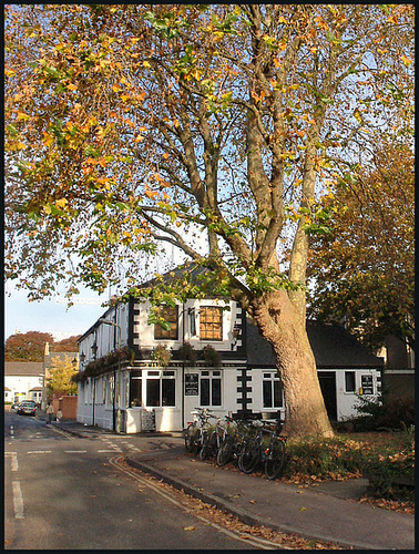 Radcliffe Arms in autumn