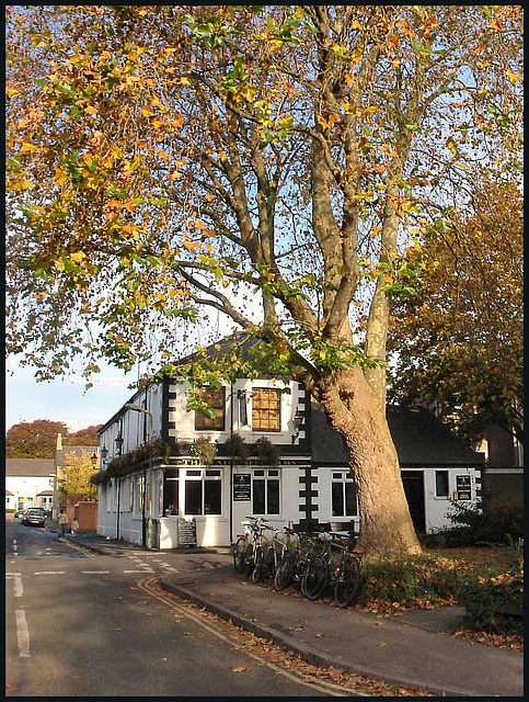 Radcliffe Arms in autumn