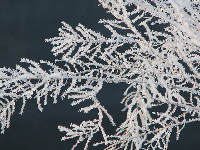 Icy fingers