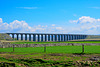 Ribblehead Viaduct