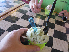 Hand with Kiwi Sorbet (7/22)