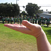 Hand with Marching Band (7/21)