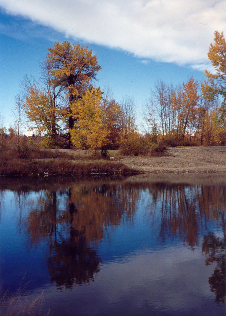 Reflections of fall