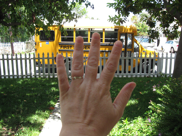 Hand Greeting Schoolbus (7/8)