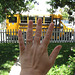 Hand Greeting Schoolbus (7/8)