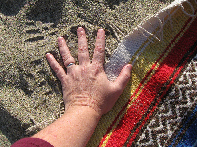 Hand, Sand, and Blanket (7/4)