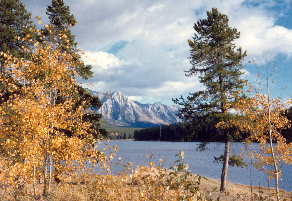 Jackson Lake