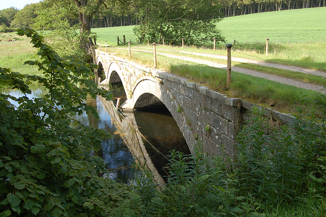 Aberdeenshire. Pitfour Estate (5)