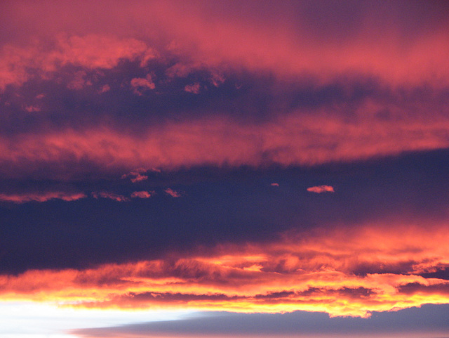 Chinook sunset
