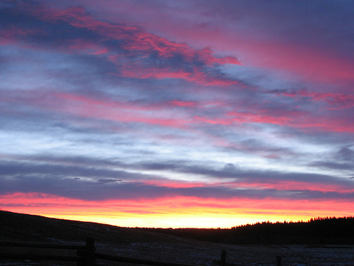 Sunrise over the park
