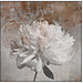 Peony Shadowhouse Creations Paint Set Texture