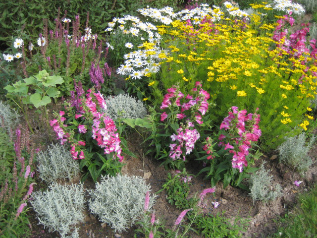 Rüdersdorf - Blumenrabatten Rehaklinik