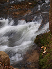 rushing river