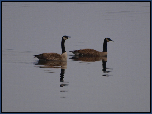 enjoying the open water