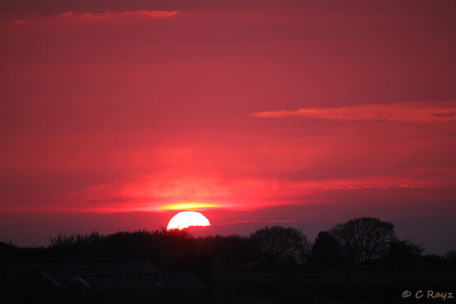 Pink Skies @ Night