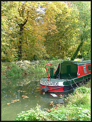 Frideswide in autumn