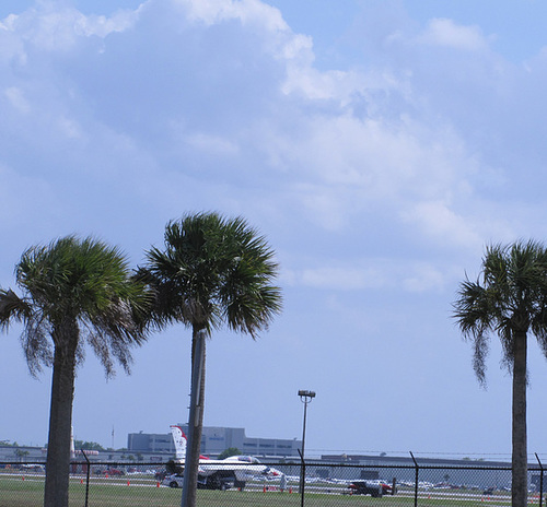 Checking out the runway ...