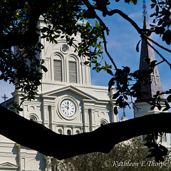 Cathedral-Basilica of Saint Louis King of France Details