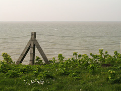 A Fence & the Sea