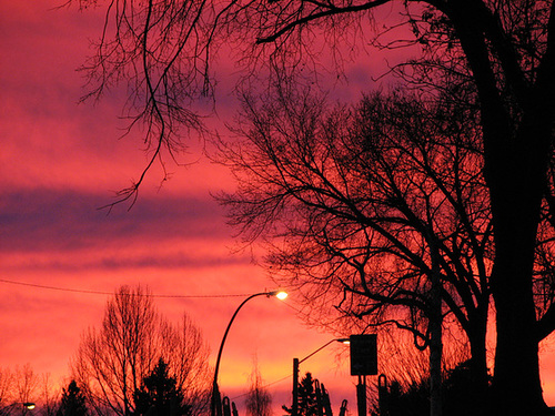 An early rise