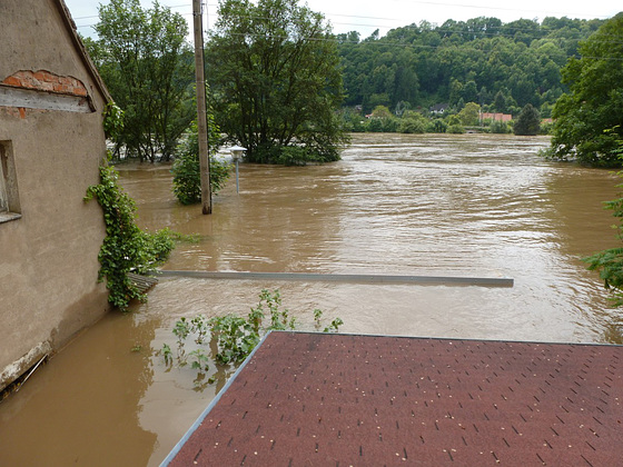 Elbhochwasser 6. Juni 2013