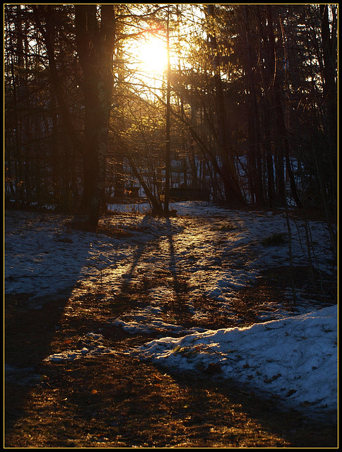 golden pathways