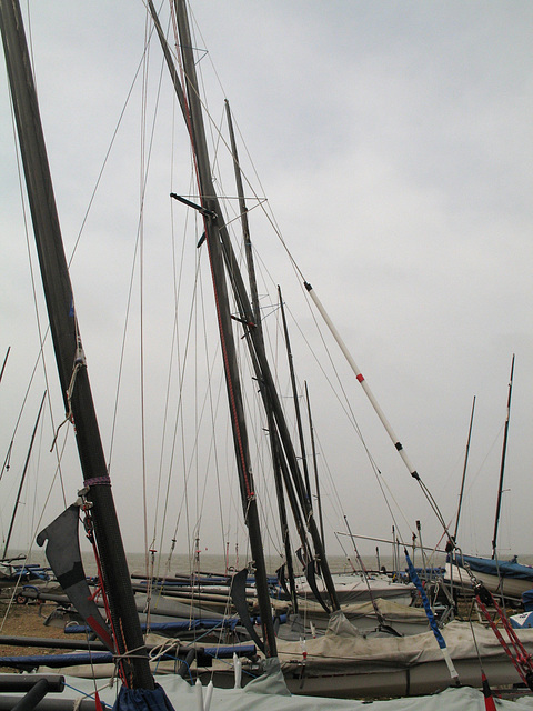 Masts