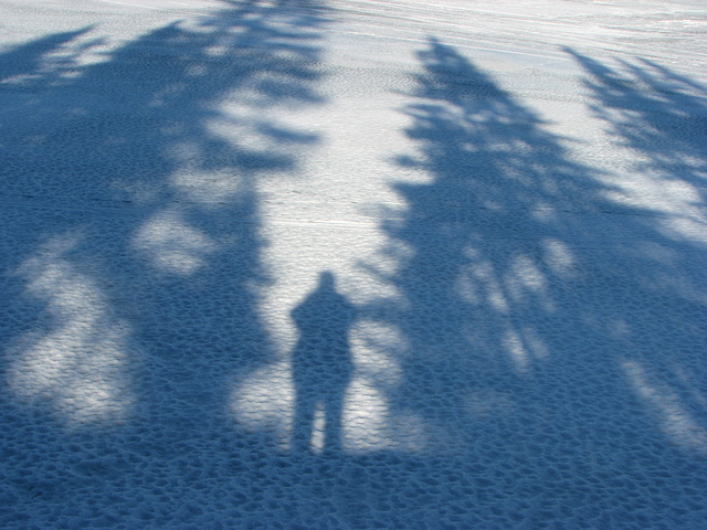 Blue shadows