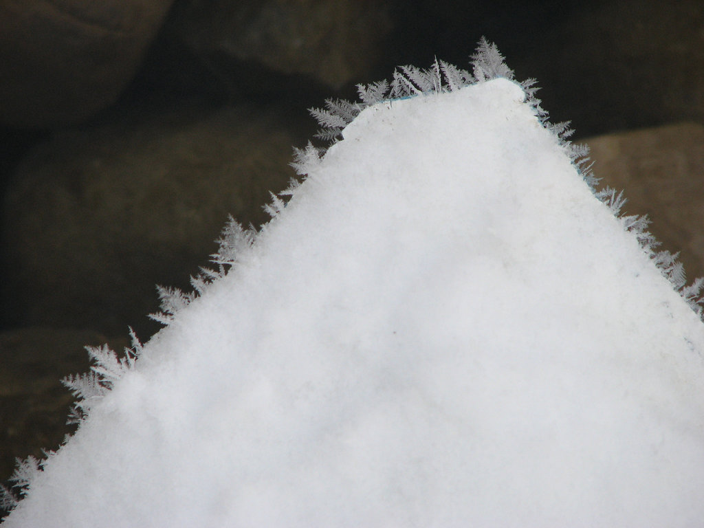 Ice trees