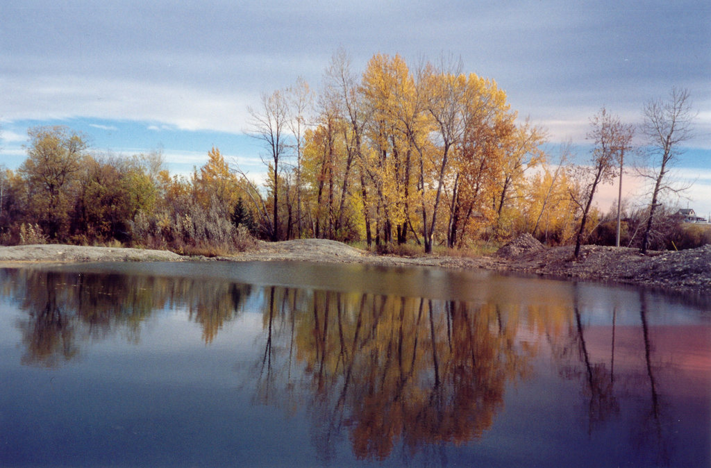 The old Beaver Pond