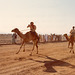 Camel races 3