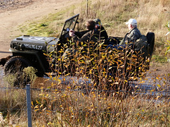 mvdbnov182012 (1128)