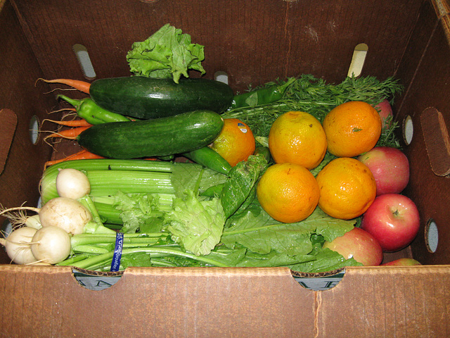 CSA box from Tanaka Farms