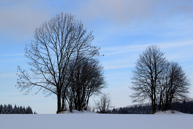 Hiver dans le Jura 2