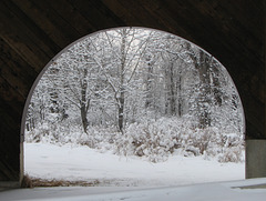 Through the arch