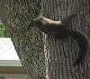 Coming down for supper, lady ..