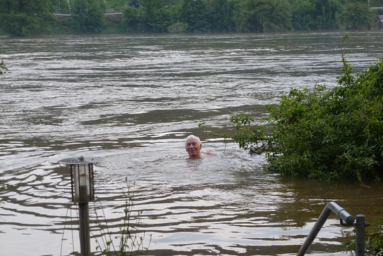 Elbhochwasser 8. Juni 2013