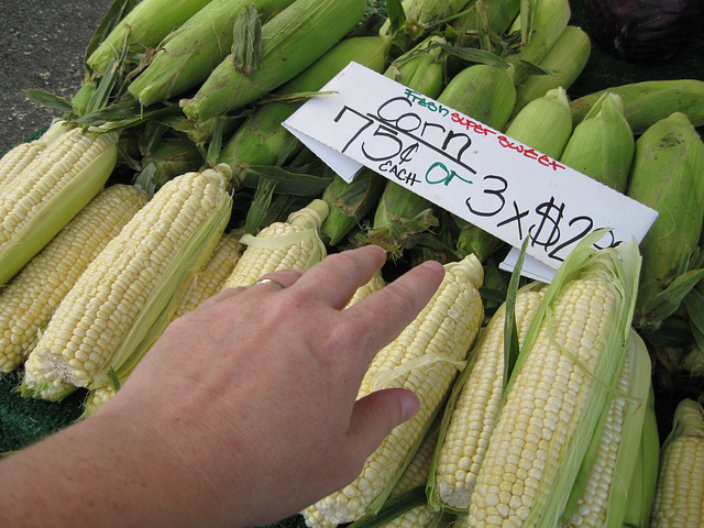 Hand at Farmers' Market (7/30)