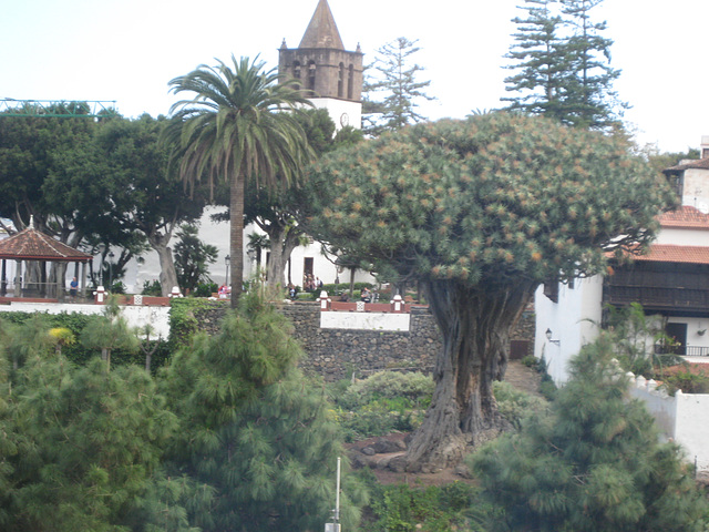 Teneriffa - La Orotava